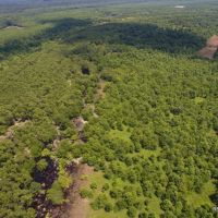 204 ac - WRP Deer &nbsp; Duck Hunting Tract - Price Reduced images 4