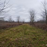 204 ac - WRP Deer &nbsp; Duck Hunting Tract - Price Reduced images 5