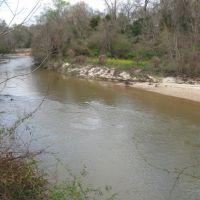 17 Wooded Acres on the Bogue Chitto River images 3
