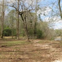 17 Wooded Acres on the Bogue Chitto River images 6