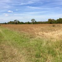 Tombigbee River Upper State Game Sanctuary Tract images 6