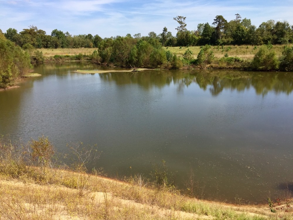 Tombigbee River Upper State Game Sanctuary Tract Hunting Land for