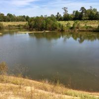 Tombigbee River Upper State Game Sanctuary Tract