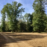 Tombigbee River Upper State Game Sanctuary Tract images 3