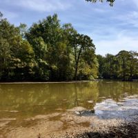 Tombigbee River Upper State Game Sanctuary Tract images 5