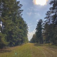 22 Acres &nbsp; Waterwood Estates &nbsp; Tract 14C images 5