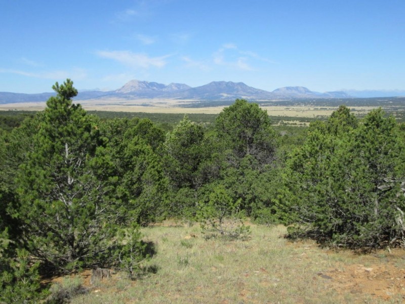 LOT 142 RIVER RIDGE RANCH featured image