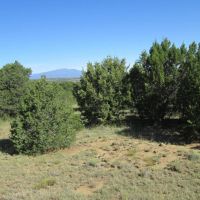 LOT 142 RIVER RIDGE RANCH images 2