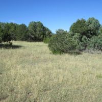 LOT 142 RIVER RIDGE RANCH images 3
