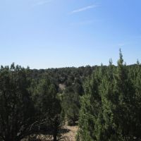 LOT 142 RIVER RIDGE RANCH images 4