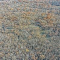 Premier Duck Hunting Land For Sale in Bates County  MO images 3