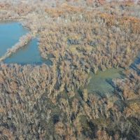Premier Duck Hunting Land For Sale in Bates County  MO images 4