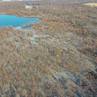 Premier Duck Hunting Land For Sale in Bates County  MO images 5