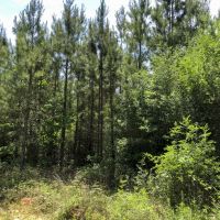 90 Ac SH 63 images 5