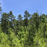 90 Ac SH 63 images 6