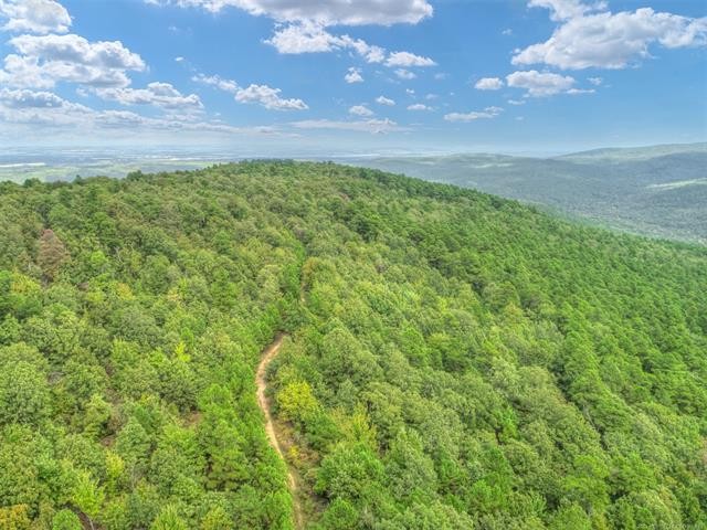 924 &nbsp; -Acres - W. County Road 1342 Red Oak  OK 74563 featured image