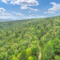 924 &nbsp; -Acres - W. County Road 1342 Red Oak  OK 74563 images 2
