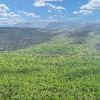 924 &nbsp; -Acres - W. County Road 1342 Red Oak  OK 74563 images 4