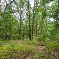 924 &nbsp; -Acres - W. County Road 1342 Red Oak  OK 74563 images 6