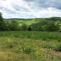 150 acres Hunting Land with Travel Trailer in Andover NY images 2