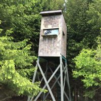 150 acres Hunting Land with Travel Trailer in Andover NY images 3