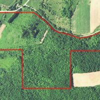 150 acres Hunting Land with Travel Trailer in Andover NY images 4