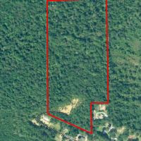 24 Acre Timber Tract images 2