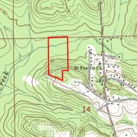 24 Acre Timber Tract images 3