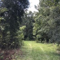 Lake County Recreational and Ag Land images 2