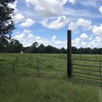 Lake County Recreational and Ag Land images 4