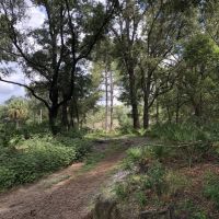 Lake County Recreational and Ag Land images 6