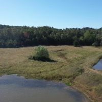 Hobby Farm with Recreational Land For Sale in Dora  MO images 4
