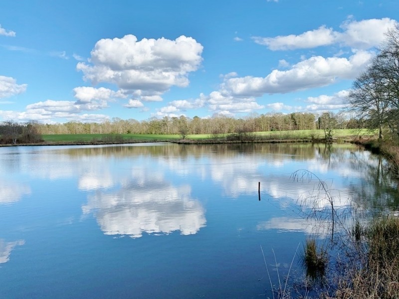 Hunting &nbsp; Recreational Ranch with Pasture For Sale in &nbsp;  Southwest MS featured image