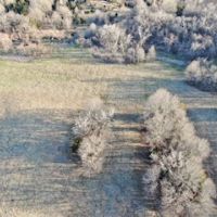 68 Acres m l  Appanoose Co.&nbsp; IA images 4