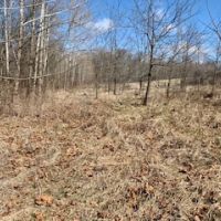 68 Acres m l  Appanoose Co.&nbsp; IA images 6