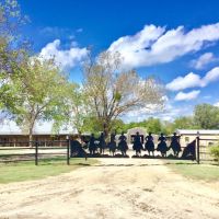 Exceptional Horse Ranch For Sale in Wood County TX