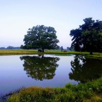 Exceptional Horse Ranch For Sale in Wood County TX images 3
