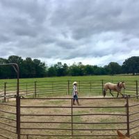 Exceptional Horse Ranch For Sale in Wood County TX images 4