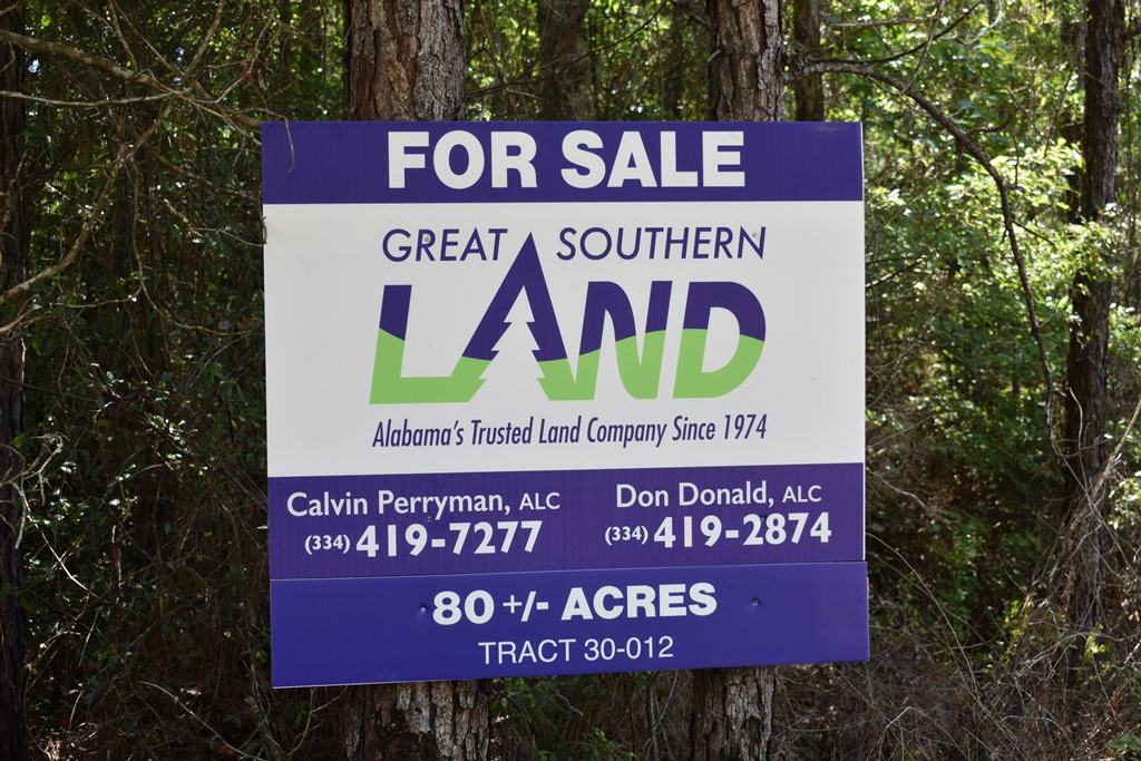 30011flomatonwelkatract5 Hunting Land for Sale HuntingLocator