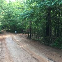 High Volume Timber Tract Coosa Co. images 4