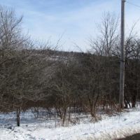 8 acres Building Lot and Hunting Land in Taylor NY Cheningo Solon Pond Road images 5