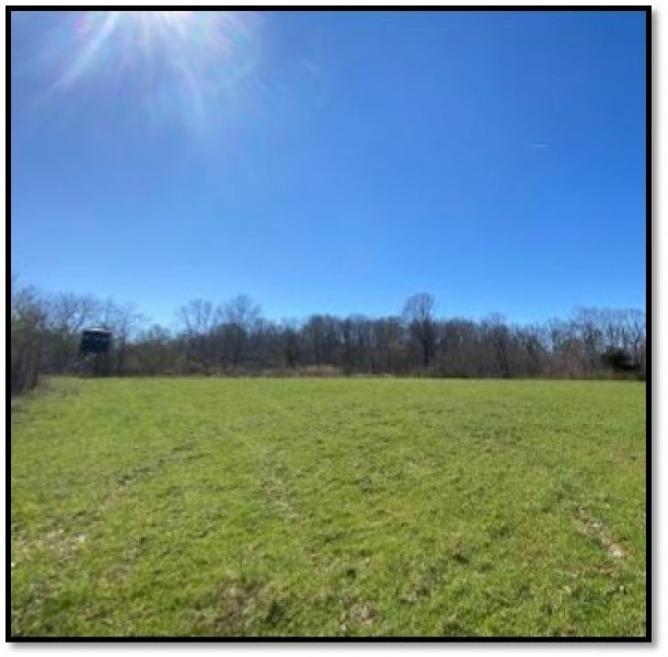 83.5 Acres in Panola County in Sardis  MS featured image