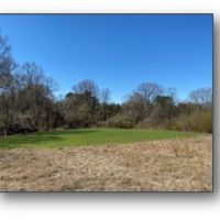 83.5 Acres in Panola County in Sardis  MS images 3