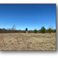 83.5 Acres in Panola County in Sardis  MS images 4
