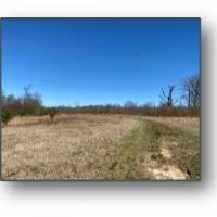 83.5 Acres in Panola County in Sardis  MS images 5