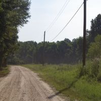 20.2 Acres in Greene County in McLain  MS images 3