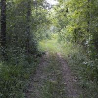 20.2 Acres in Greene County in McLain  MS images 6