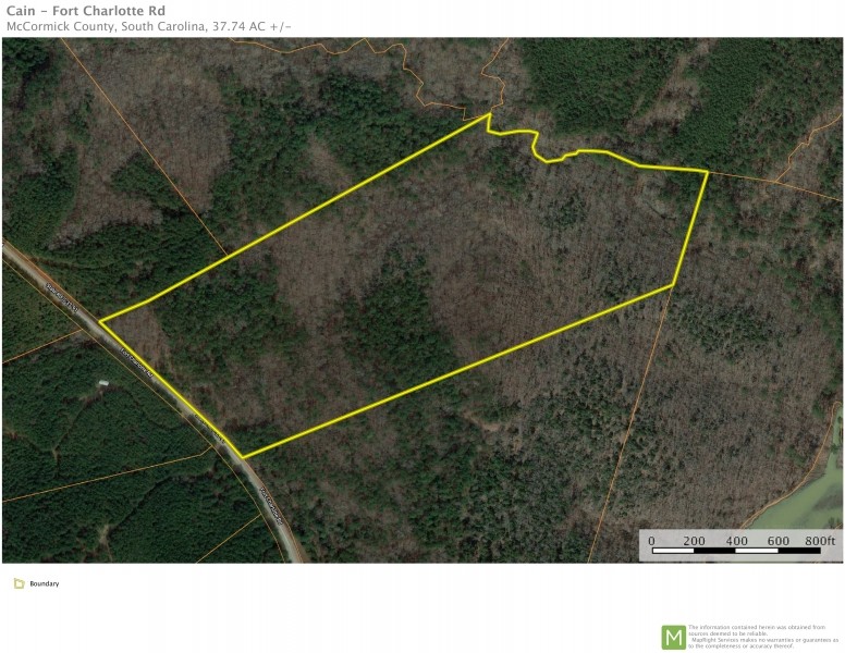- 37.74 Acre Property Loaded with Wildlife and Ready for the 2020 Deer Season featured image