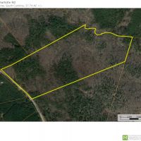 - 37.74 Acre Property Loaded with Wildlife and Ready for the 2020 Deer Season