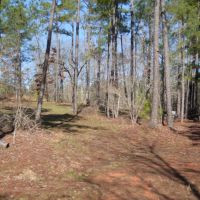 - 37.74 Acre Property Loaded with Wildlife and Ready for the 2020 Deer Season images 2